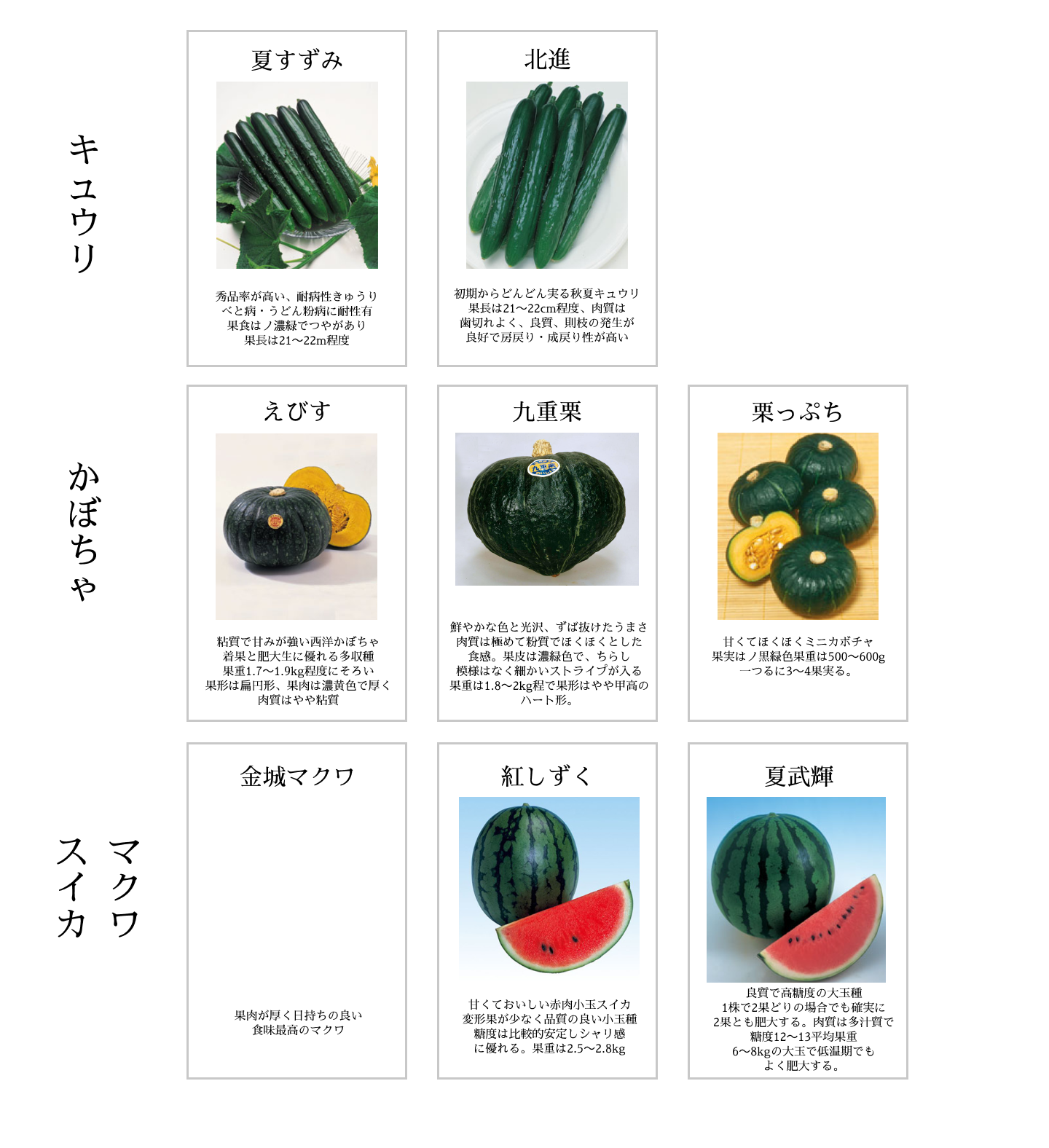 パソコン用キュウリ