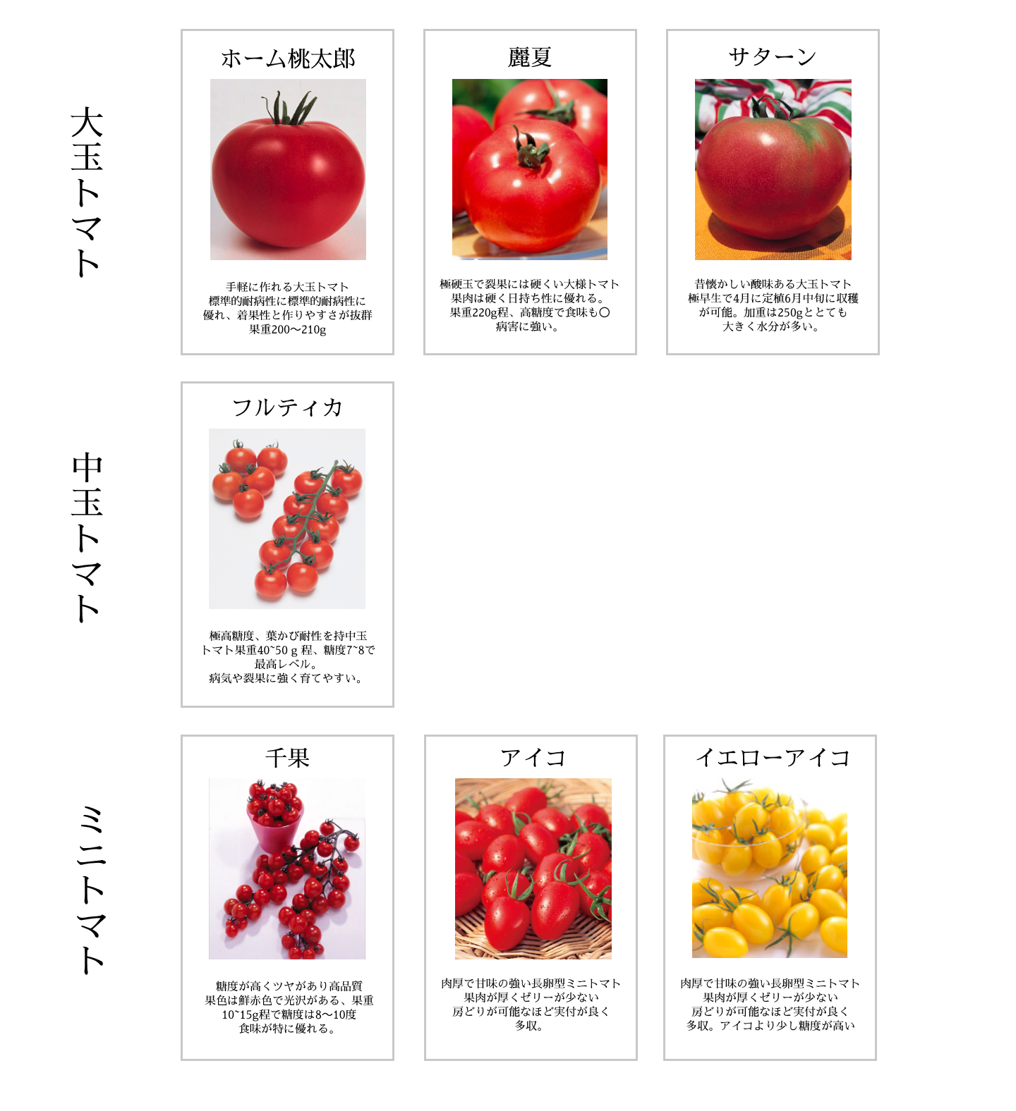 パソコン用トマト