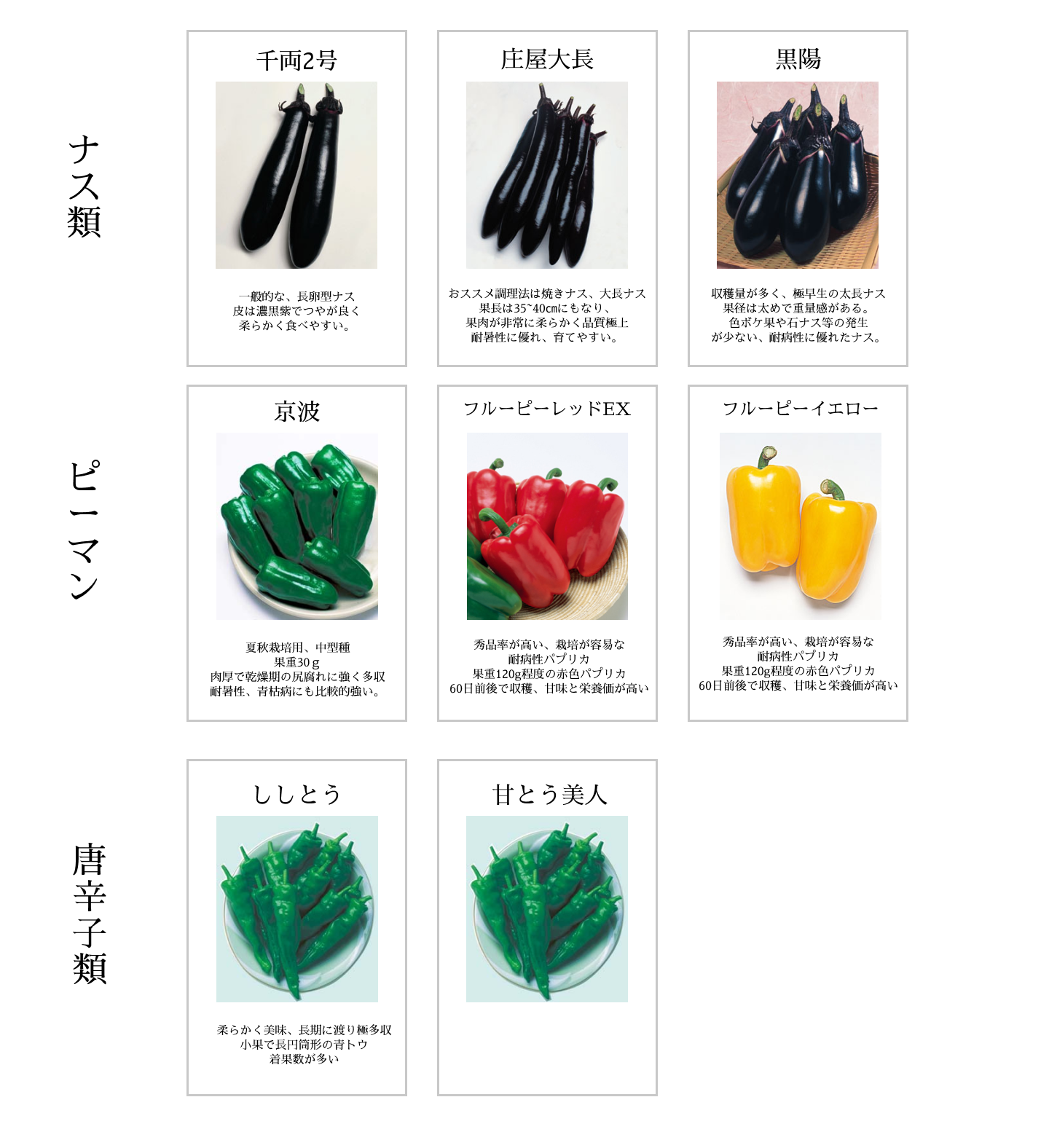 パソコン用ナス・ピーマン